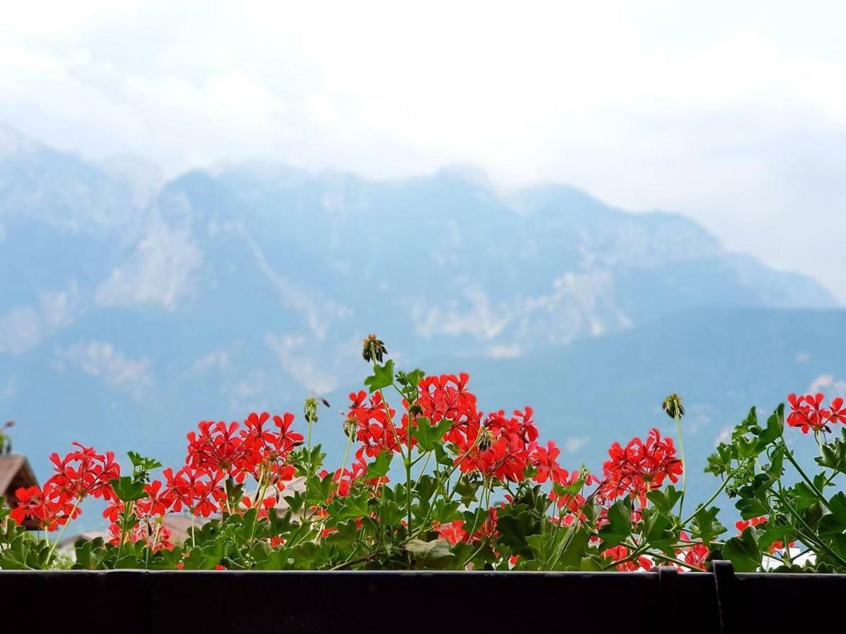 La Casa Di Michela - 120M2 In The Mountains With Fireplace & Garden Strigno ภายนอก รูปภาพ